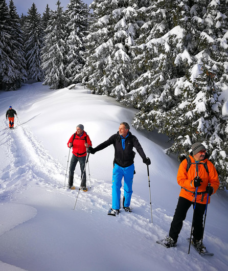 Das Bild zeigt mehrere Leute am Schneeschuhlaufen in den Bergen